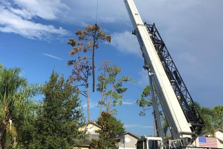 Crane Removals - Superior Tree Service