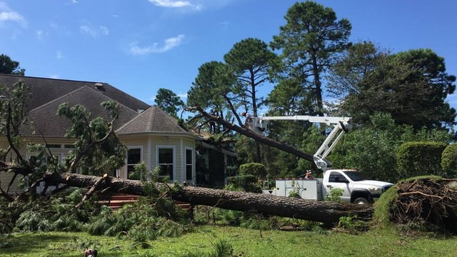 Hurricane Florence clean up, North Carolina