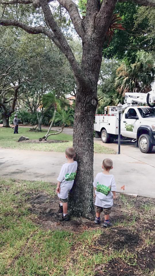 Superior Tree Services