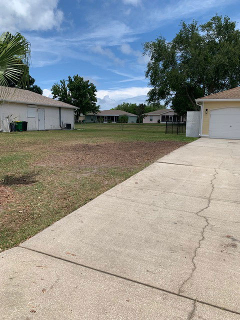 Tree trimming after